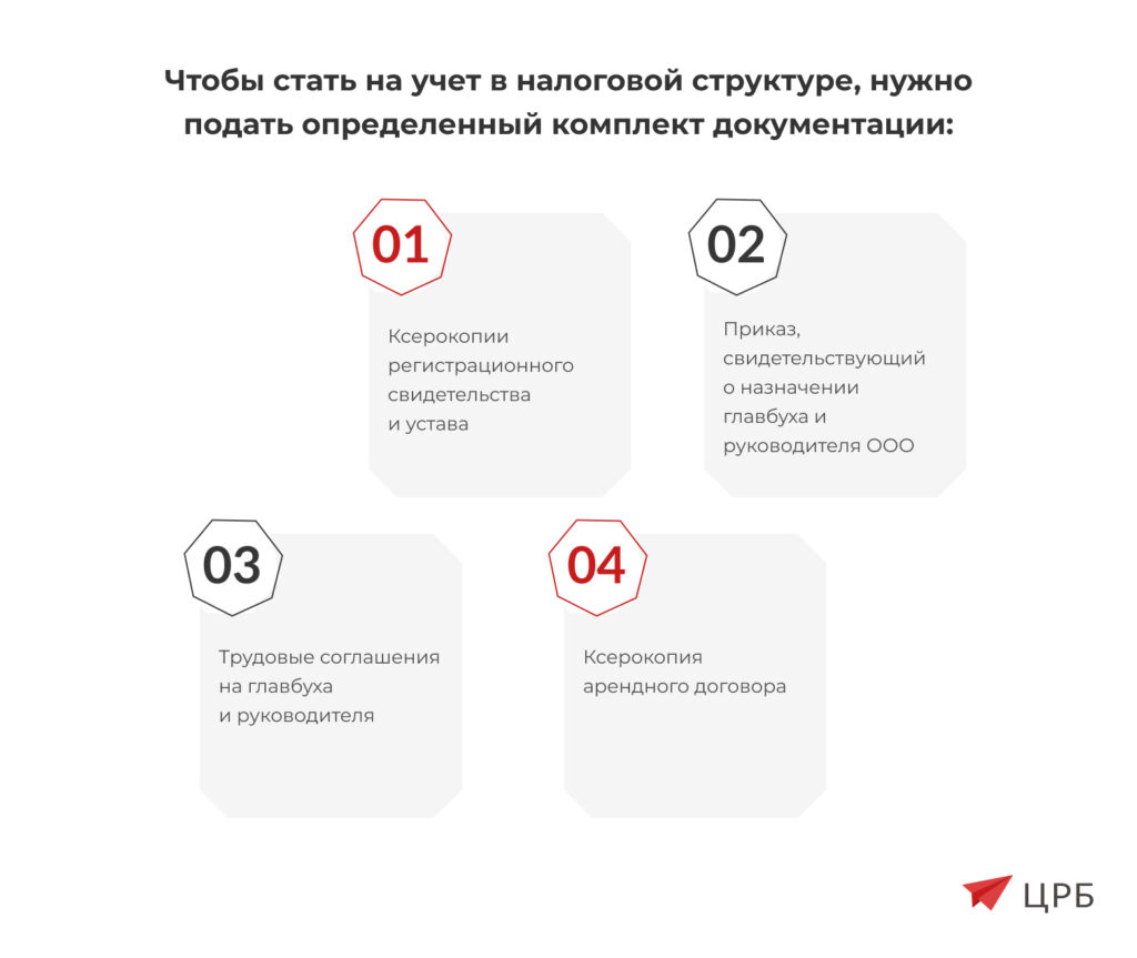 Регистрация ООО в РБ в 2024 году: пошаговый алгоритм